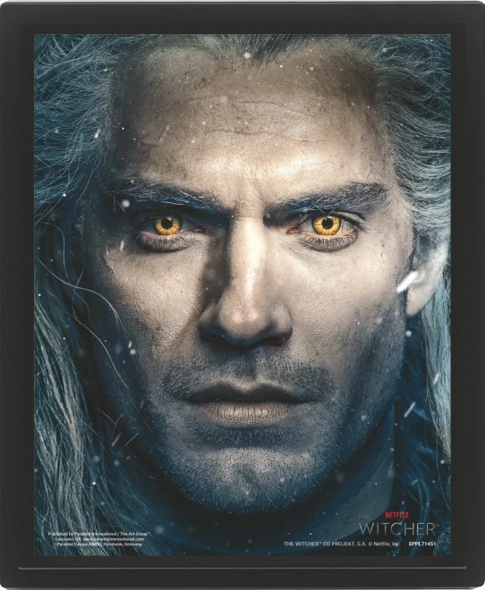 3D billede Witcher 2