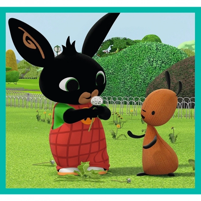 Mega Pakke Puzzle Bing 10i1