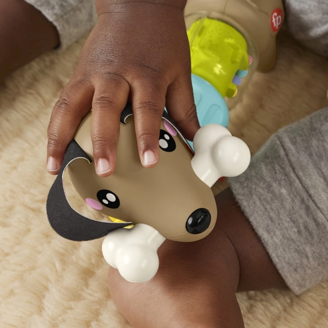 Fisher Price Raslende og klaprende gravhund HTW91