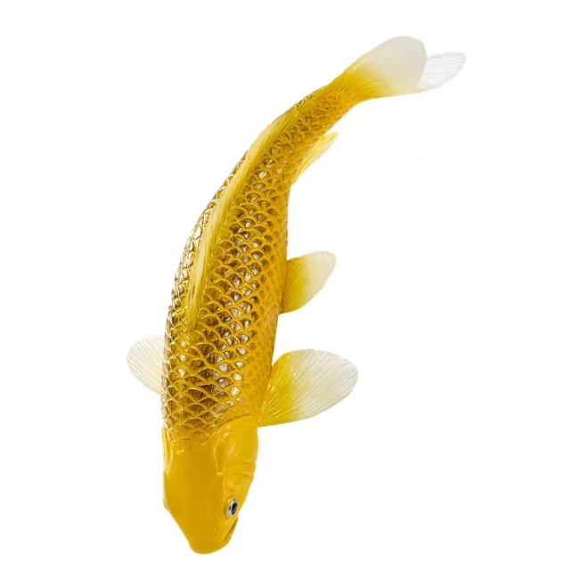 Mojo karpe koi Matsuba
