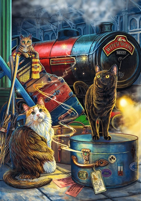 Puzzle TREFL Premium Plus Magic Collection: Witchwood Express 1000 brikker