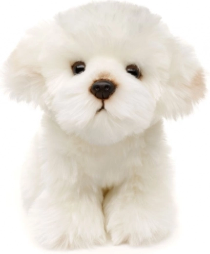 Miljøvenligt og sikkert design