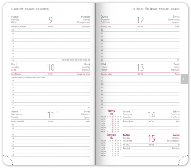 Lomme kalender Aprint Neo 2025, blå, 9 × 15,5 cm