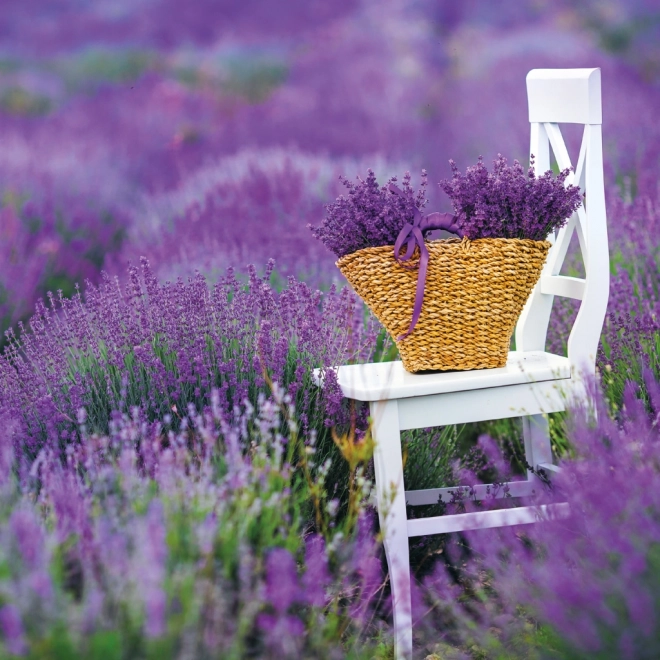 Note kalender Provence 2026