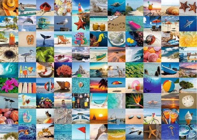 Puslespil RAVENSBURGER 99 øjeblikke ved havet 1000 brikker