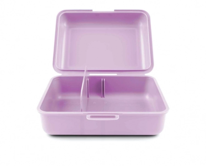 Lilla plastboks til frokost med motiv af himlen