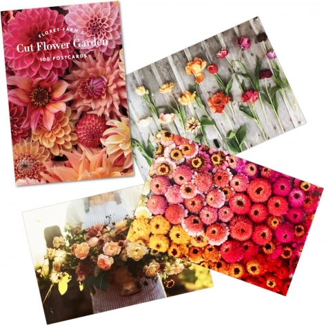 Chronicle Books Buketter fra blomsterfarmen – 100 postkort