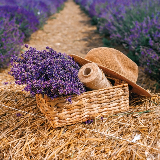 Note kalender Provence 2026