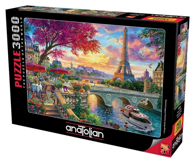 Puslespil Blomstrende Paris 3000 brikker