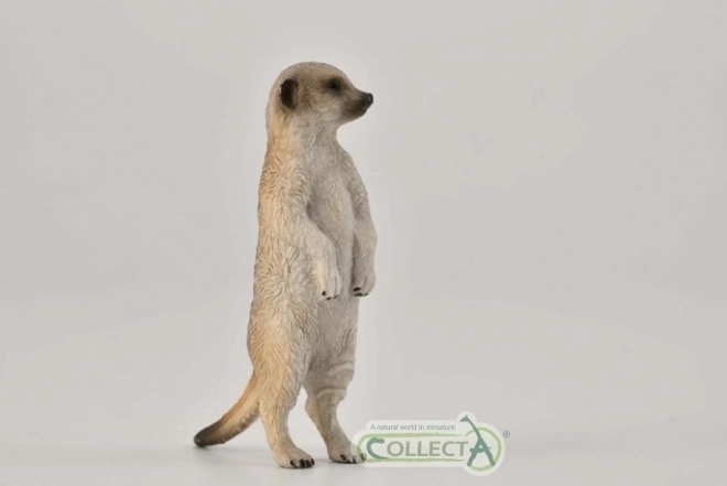 Collecta surikat stående figur
