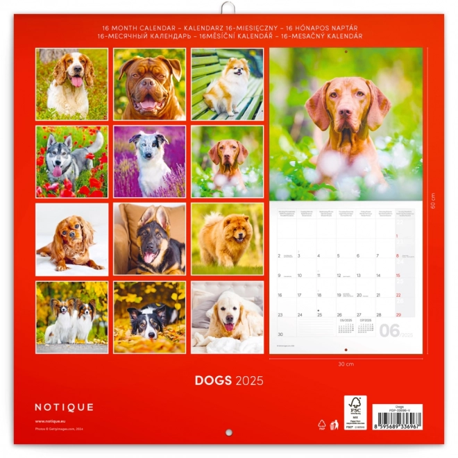 Notekalender Hunde 2025, 30 × 30 cm