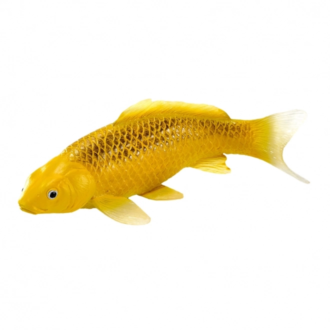 Mojo karpe koi Matsuba