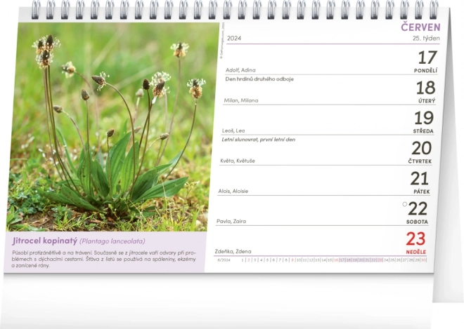 Bordkalender Naturlægemidler 2024, 23,1 × 14,5 cm