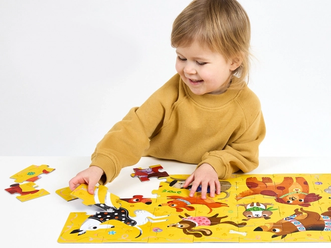 CzuCzu Puzzle Hau Piesci, 40 stk