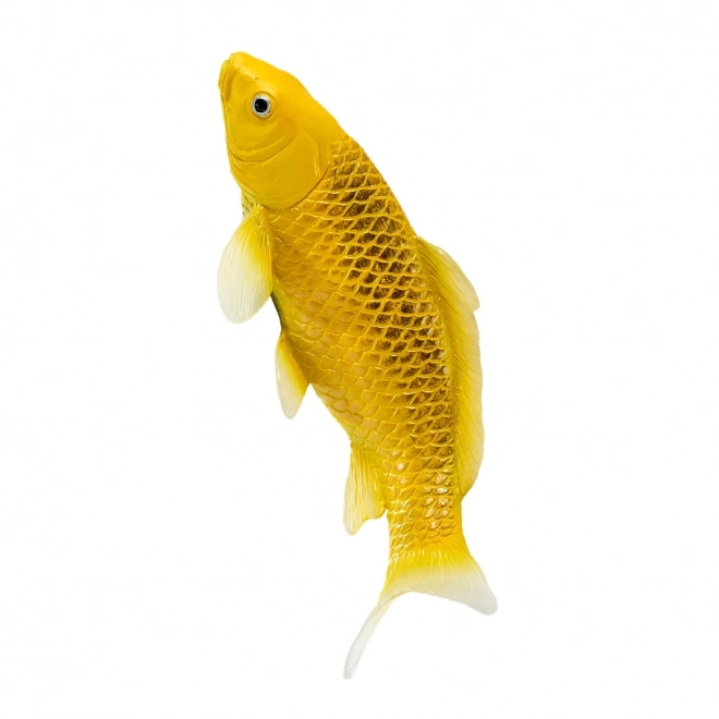 Mojo karpe koi Matsuba
