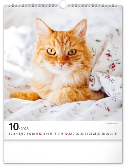 Vægkalender Katte 2025, 30 × 34 cm