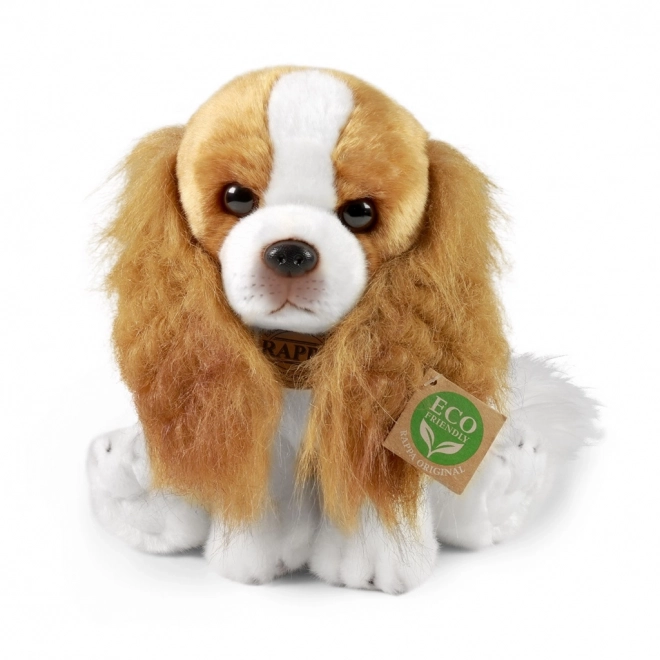 Bamse hund Cavalier King Charles Spaniel miljøvenlig