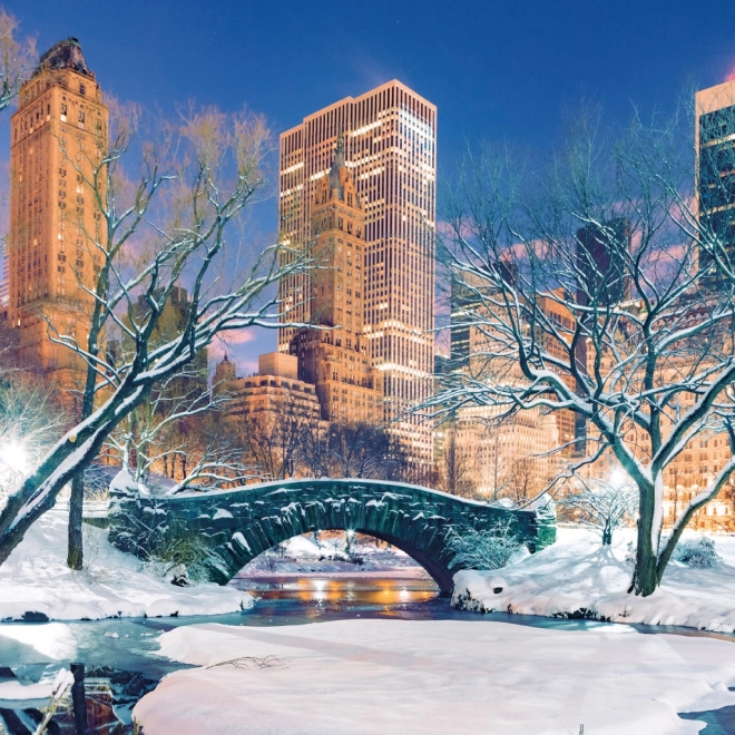 Notatkalender New York 2026