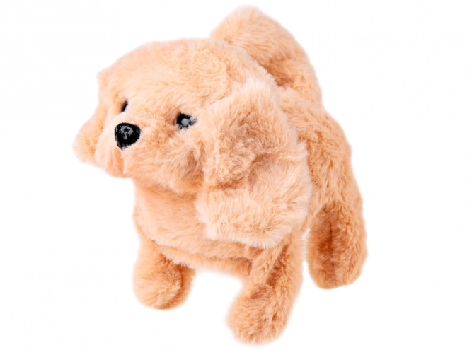 Interaktiv plysbamse i SPA-salon