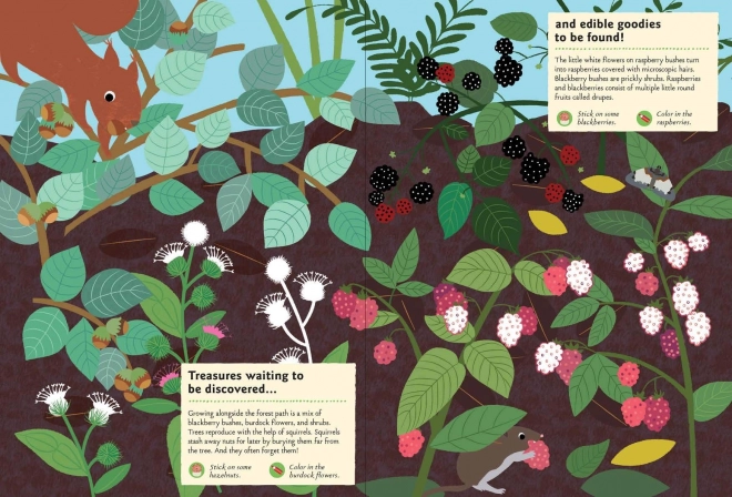 Chronicle Books Aktivitetsbog med klistermærker min natur I skoven