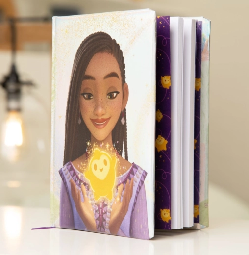 Metallisk Disney Wish-dagbog