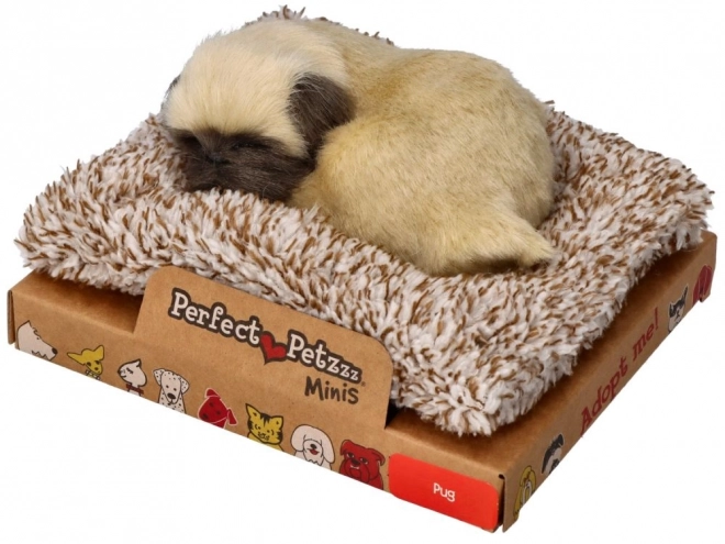 Sød mopsehvalp Perfect Petzzz
