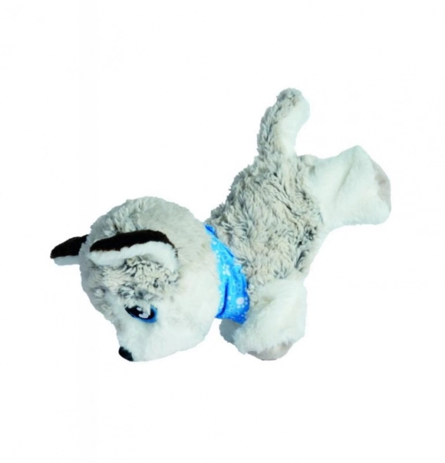 Simba Chi Chi Love interaktiv hund Husky