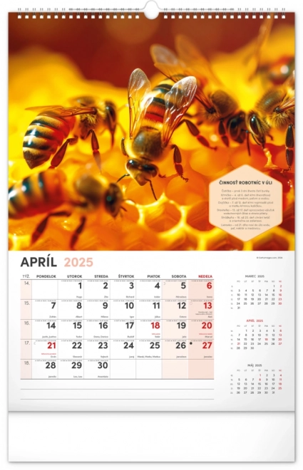 NOTIQUE Vægkalender for Biavl 2025, 33 x 46 cm