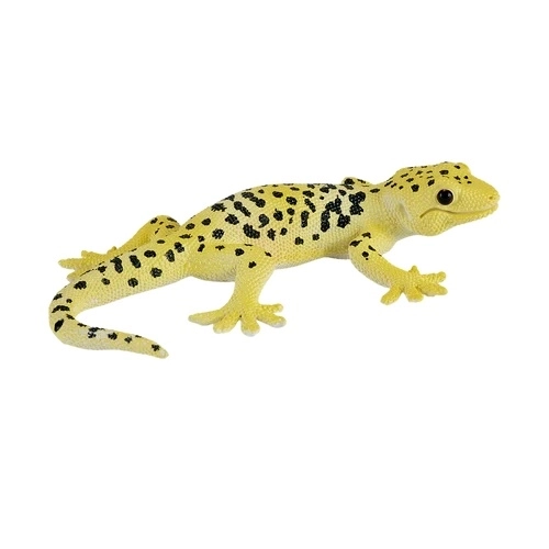 Mojo Leopardgekko