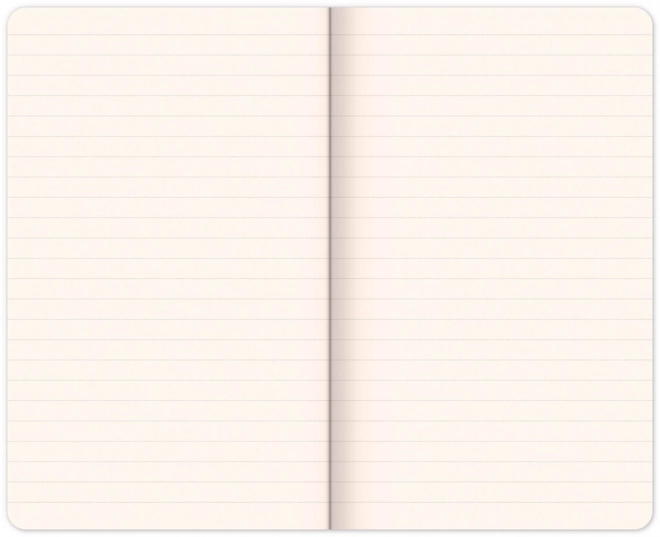 Superman Notesbog – Symbol