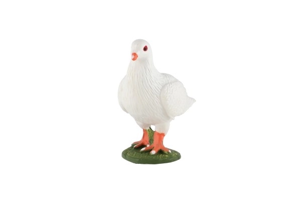 Domestic due 6cm i pose