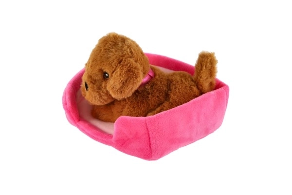 Lille hund i rede plys 4 farver 22x24cm 24m+