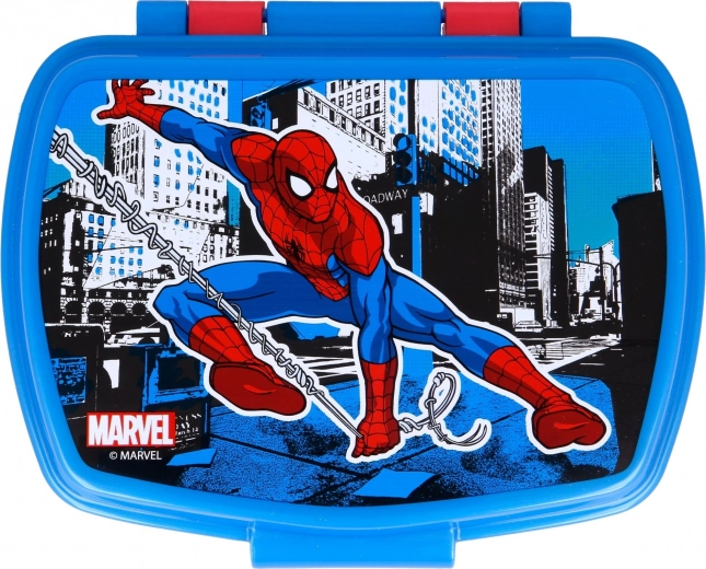 Attraktivt SPIDER-MAN-design