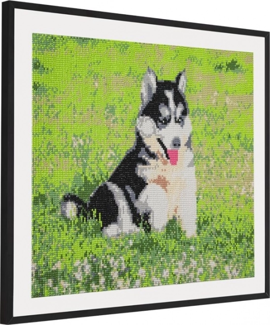 GRAFIX Diamantmaleri Husky 40x50 cm