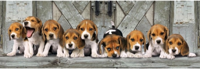 Puslespil 1000 stykker Kompakt panorama Beagle