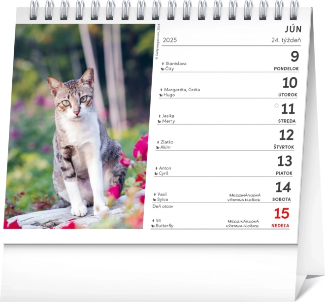 Bordkalender Katte med navne 2025