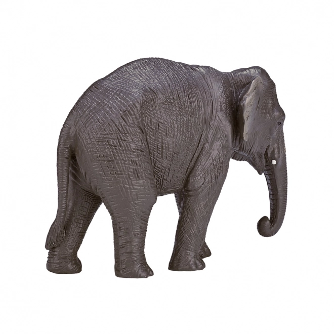Mojo Indisk Elefant