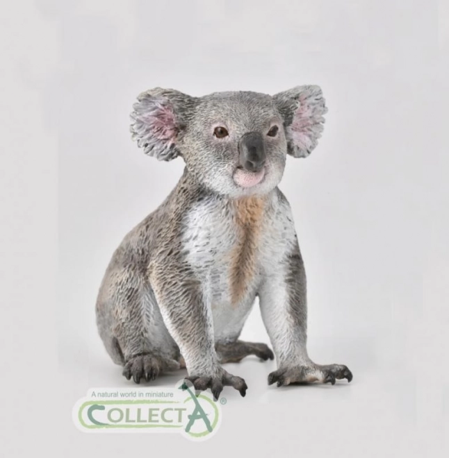 Koala Kollektion