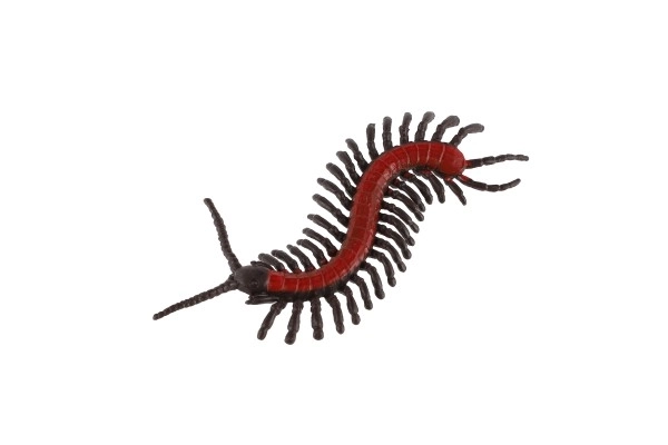 Realistiske plastmodeler af insekter