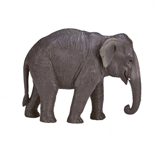 Mojo Indisk Elefant