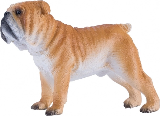 Realistisk udførelse af engelsk bulldog