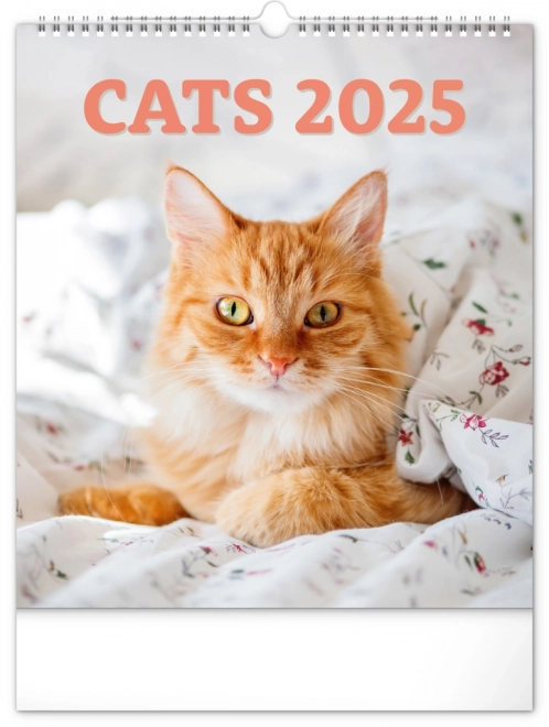 Vægkalender Katte 2025, 30 × 34 cm