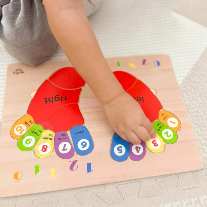 Tooky Toy træpædagogisk puslespil fødder til læring af tælling og farver
