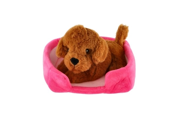 Lille hund i rede plys 4 farver 22x24cm 24m+