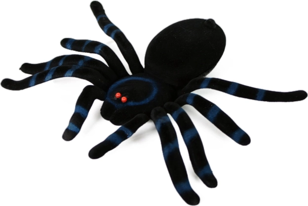 Plysbamse-edderkop til Halloween