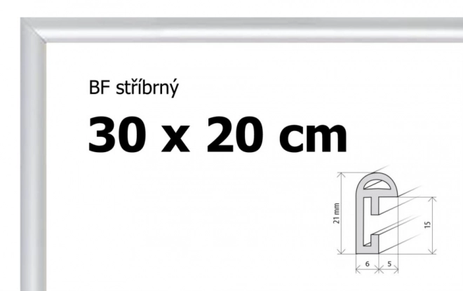 Plastikramme 30x20cm sølvfarvet