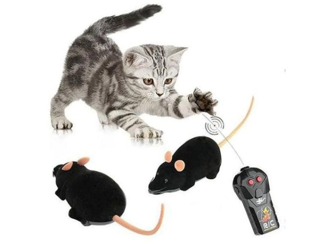 Sjov for katte og hele familien