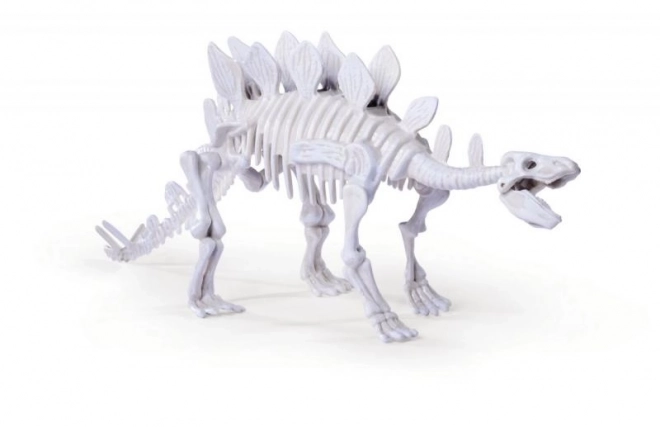Sæt til udgravning og samling af dinosaurknogler