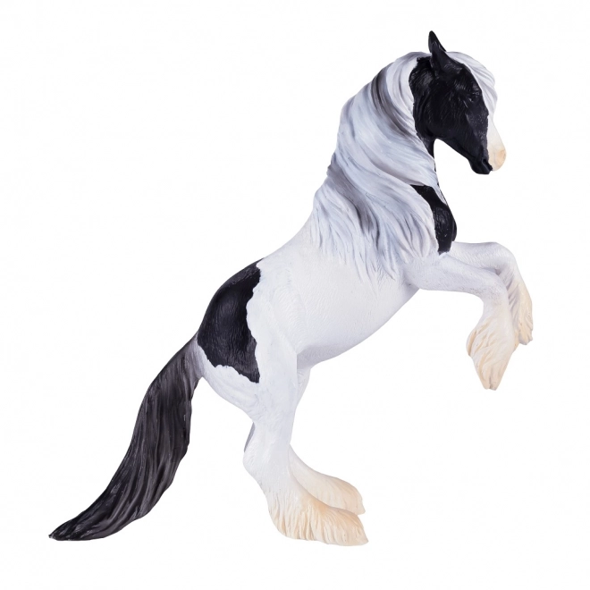 Mojo Hingst Gypsy Vanner