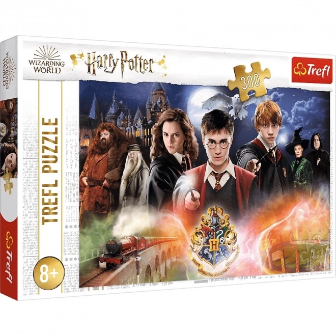 Mystisk Harry Potter puslespil 300 brikker